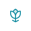 ICON-4